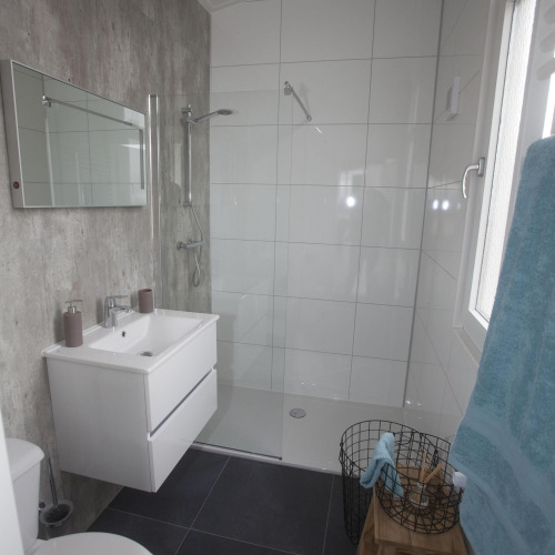 Baño moderno con ducha, espejo y lavabo en Biebosch - tuinhuis, Resort Mooi Bemelen, Países Bajos.