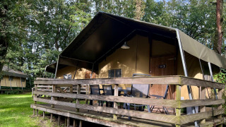 Tente safari nommée Summer Lodge avec terrasse en bois à Beerze Bulten, Pays-Bas, entourée d’arbres.