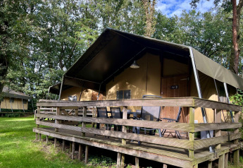 Tenda safari chiamata Summer Lodge con terrazza in legno a Beerze Bulten, Paesi Bassi, circondata da alberi.