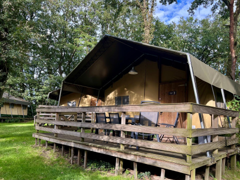 Safaritent genaamd Summer Lodge met houten veranda bij Beerze Bulten, Nederland, omgeven door bomen.