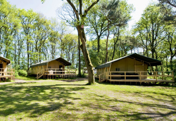 Safaritenten Summer Lodge bij Beerze Bulten in Nederland, omringd door bomen en zonlicht op het gras.