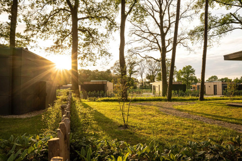 La luce del sole filtra tra gli alberi in un lodge con bungalow moderni e sentieri erbosi nel verde.