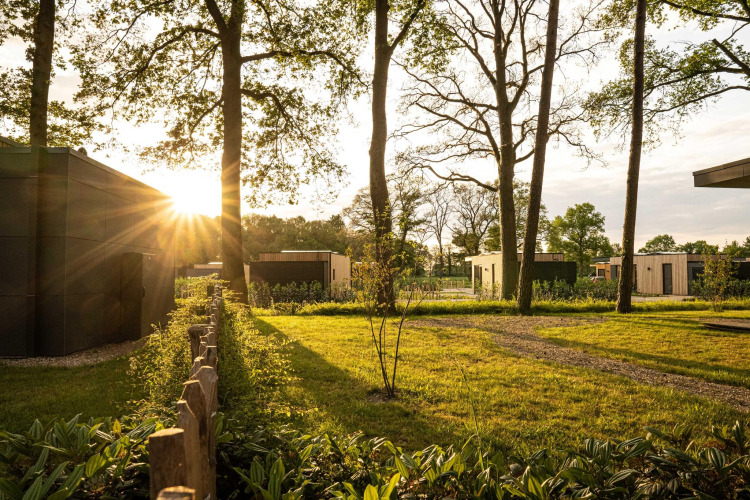 Sonnenstrahlen scheinen durch Bäume auf moderne Lodges mit grüner Wiese und ruhigen Wegen.
