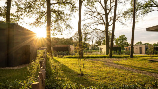 Sunlight filters through tall trees at a lodge featuring modern cabins, walkways, and lush green grass.
