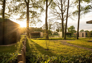 De zon schijnt door de bomen bij een lodge met moderne chalets, wandelpaden en groene grasvelden.