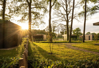 Sunlight filters through tall trees at a lodge featuring modern cabins, walkways, and lush green grass.