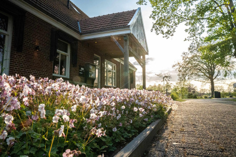 Foto de una cabaña con jardín frontal lleno de flores rosas, camino pavimentado y árboles al atardecer.