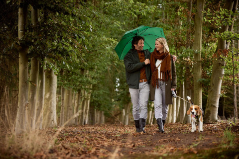 Pareja paseando a su perro bajo un paraguas verde en el bosque cerca de una cabaña, sonrientes y abrigados.