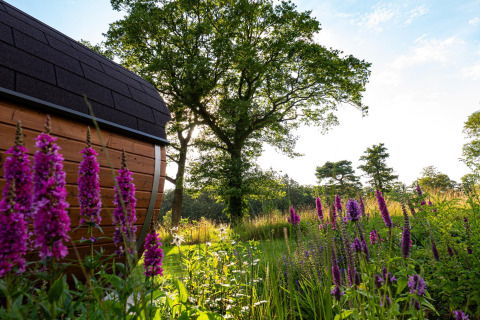 Billedet viser et hyggeligt træhus ved Holiday villa Amalia + sauna på Hofparken Wiltershaar i Holland omgivet af blomster.
