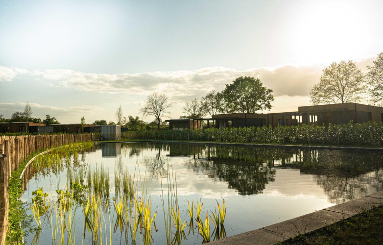 Sonnenuntergang über einem Teich an einer Lodge mit modernen Gebäuden und grüner Vegetation im Hintergrund.