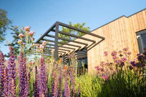 Moderno alojamiento de madera con pérgola negra, rodeado de flores púrpuras y rosadas en pleno jardín.