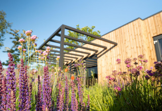 Lodge moderne à façade en bois et pergola noire, entouré de fleurs violettes et roses sous un ciel bleu.