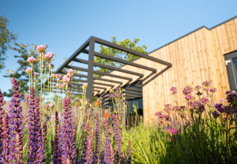 Moderno alojamiento de madera con pérgola negra, rodeado de flores púrpuras y rosadas en pleno jardín.