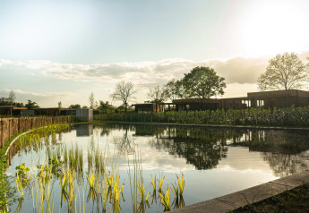 Een rustige lodge met moderne chalets, grote vijver en groen onder de avondzon.