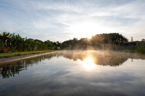 Amanecer sobre un estanque con vapor, rodeado de vegetación en Holiday villa Amalia 6 en los Países Bajos.