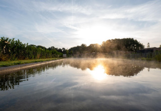 Amanecer sobre un estanque con vapor, rodeado de vegetación en Holiday villa Amalia 6 en los Países Bajos.