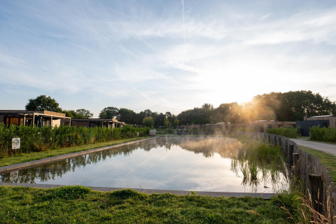 View of a pond at Water lodge 6 Deluxe with sauna and hot tub at Hofparken Wiltershaar, Netherlands.
