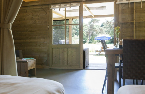 Uitzicht vanuit Camphome-lodge op vakantiepark Witterzomer in Nederland, met houten interieur en terras.