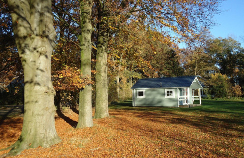 Herbstliche Ansicht einer Hütte im Lodge im Ferienpark Witterzomer, Niederlande, umgeben von Bäumen.