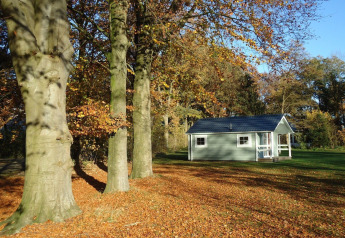 Herfsttafereel aan de Lodge van Holiday park Witterzomer in Nederland, met bomen en huisje.
