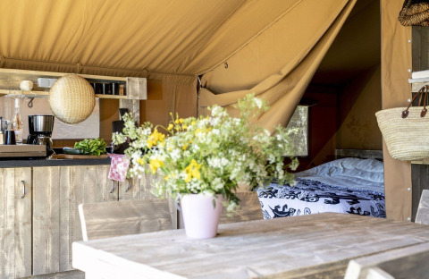 Interno della tenda safari a Holiday park Witterzomer, Paesi Bassi, con arredo rustico e fiori freschi.