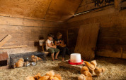 To børn sidder på en bænk i en lade med hø og kyllinger på Feather Down Landgoed Volenbeek i Gelderland.