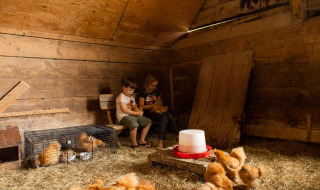 Due bambini seduti su una panca in un fienile con pulcini e fieno a Feather Down Landgoed Volenbeek, Gelderland.