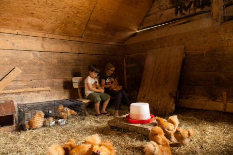 Twee kinderen zitten in een schuur met hooi en kuikens bij Feather Down Landgoed Volenbeek, Gelderland.
