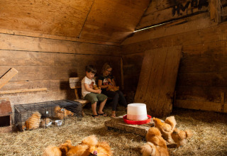 Twee kinderen zitten in een schuur met hooi en kuikens bij Feather Down Landgoed Volenbeek, Gelderland.