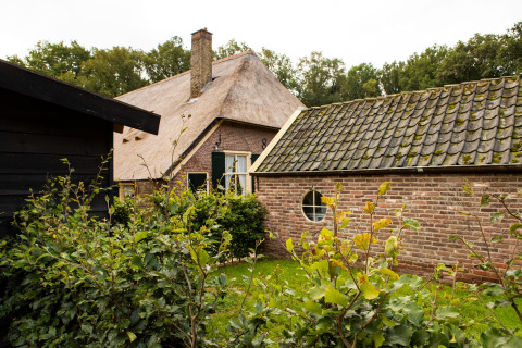 Maison au toit de chaume et jardin au Feather Down Landgoed Volenbeek, parc de vacances en Gueldre, Pays-Bas.