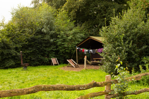 Udendørs teltcamping ved Feather Down Landgoed Volenbeek i Gelderland med liggestole og vasketøjssnor.