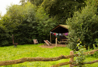 Zeltplatz mit Liegestühlen und Wäscheleine im Feather Down Landgoed Volenbeek, Gelderland, Niederlande.