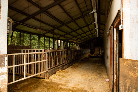Vista interior de un granero vacío en Feather Down Landgoed Volenbeek, parque vacacional en Gelderland, Países Bajos.