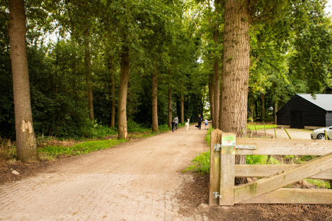 Strada sterrata tra gli alberi, persone e cani, cancello in legno e fienile a Feather Down Landgoed Volenbeek, Gelderland.