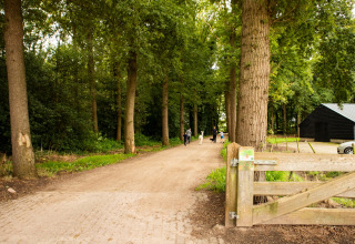 Bosweg met mensen en honden, houten poort en schuur bij Feather Down Landgoed Volenbeek, Gelderland, Nederland.
