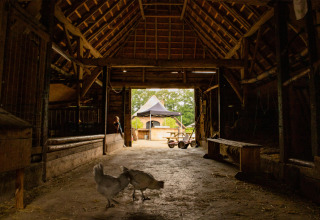 Inside a barn at Feather Down Landgoed Volenbeek with two chickens, a person outside, and a wheelbarrow.