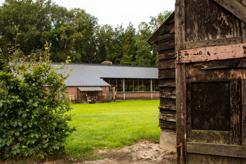 Blick von einer alten Holzscheune auf ein Ferienhaus mit Rasen im Feather Down Landgoed Volenbeek, Gelderland.