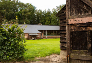 View from a rustic wooden shed towards a brick holiday house with lawn at Feather Down Landgoed Volenbeek.