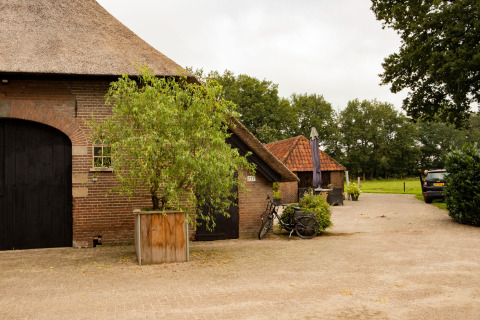 Cascina con tetto di paglia, albero in vaso e bici in un tranquillo parco vacanze a Gelderland, Paesi Bassi.
