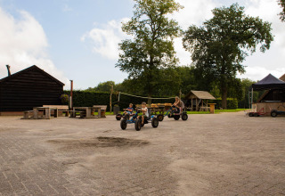 Kinderen rijden met go-karts bij een vakantiepark met picknickbanken en bomen in Gelderland, Nederland.
