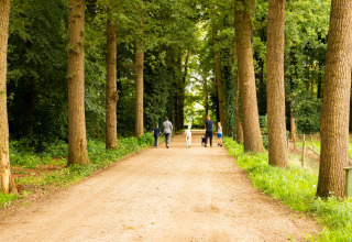 Gezinnen wandelen met honden op een met bomen omzoomd pad bij Landgoed Volenbeek in Gelderland.