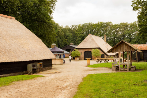 Alojamiento rural con edificios de techo de paja y mesas de picnic en Feather Down Landgoed Volenbeek, Gelderland.