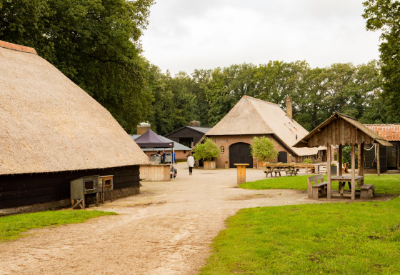 Alojamiento rural con edificios de techo de paja y mesas de picnic en Feather Down Landgoed Volenbeek, Gelderland.