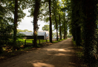 Peaceful dirt road at Feather Down Landgoed Volenbeek with trees and farm buildings in Gelderland, Netherlands.