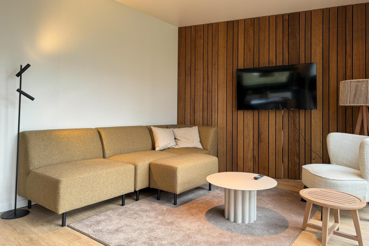 Modern living room at Hill Lodge, Beerze Bulten, Netherlands with sofa, wood wall and TV.