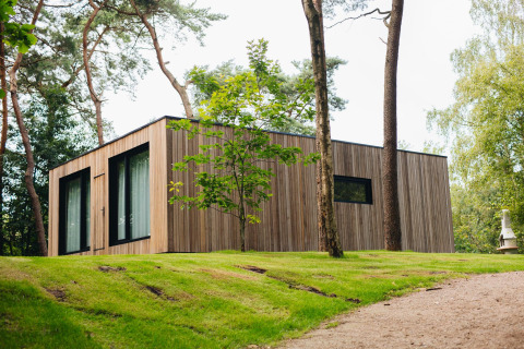 Hill Lodge en Beerze Bulten, Países Bajos, cabaña de madera moderna rodeada de árboles y naturaleza verde.