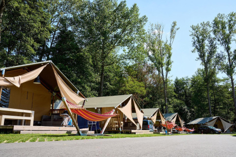 Række af safari telte med hængekøjer på Villatent Nomad, Recreatieoord Wilhelm Tell, Belgien, under træer