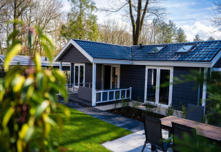 Heuvelrug Cottage med moderne tag og terrasse på De Thijmse Berg, omgivet af træer i Holland.