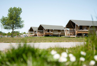 Safaritenten Villatent Compact met privé sanitair, groene omgeving en een heldere lucht op de achtergrond.