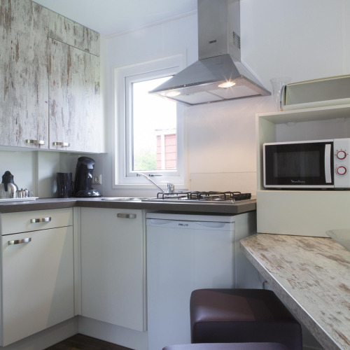 Compact kitchen at Forest lodge in Veluwecamping De Pampel, Netherlands, with stove, microwave, and fridge.
